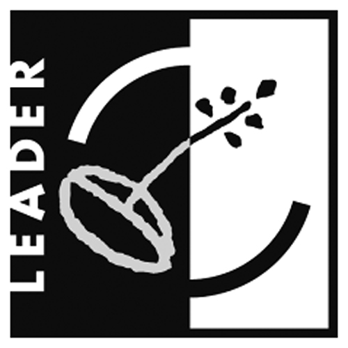 Leader